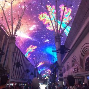 Meet your Posher, Doreen